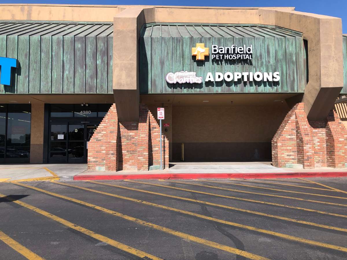 Exterior entrance of the Banfield Old Town Scottsdale hospital