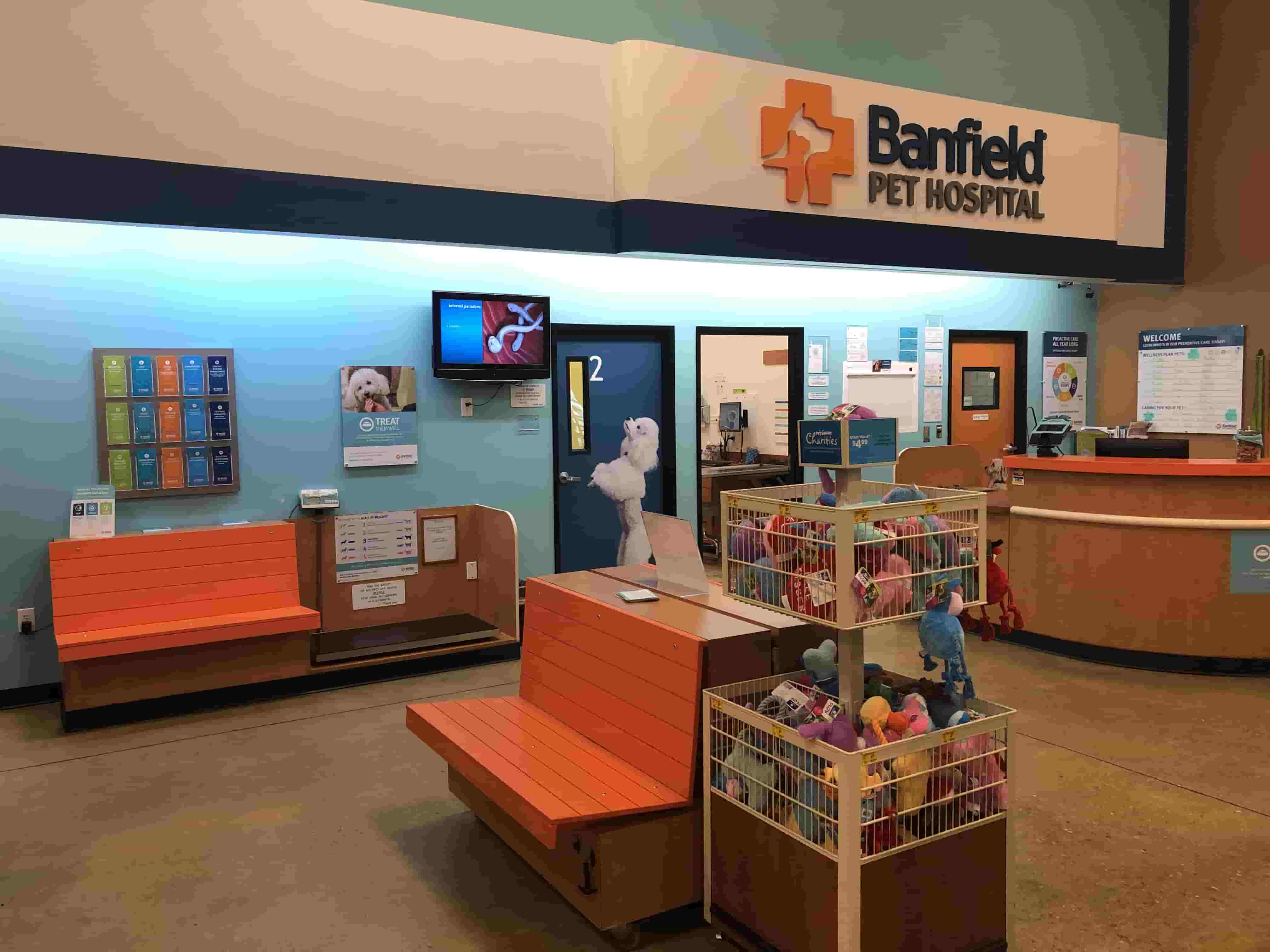 The Royal Palm Beach Banfield front lobby and waiting area