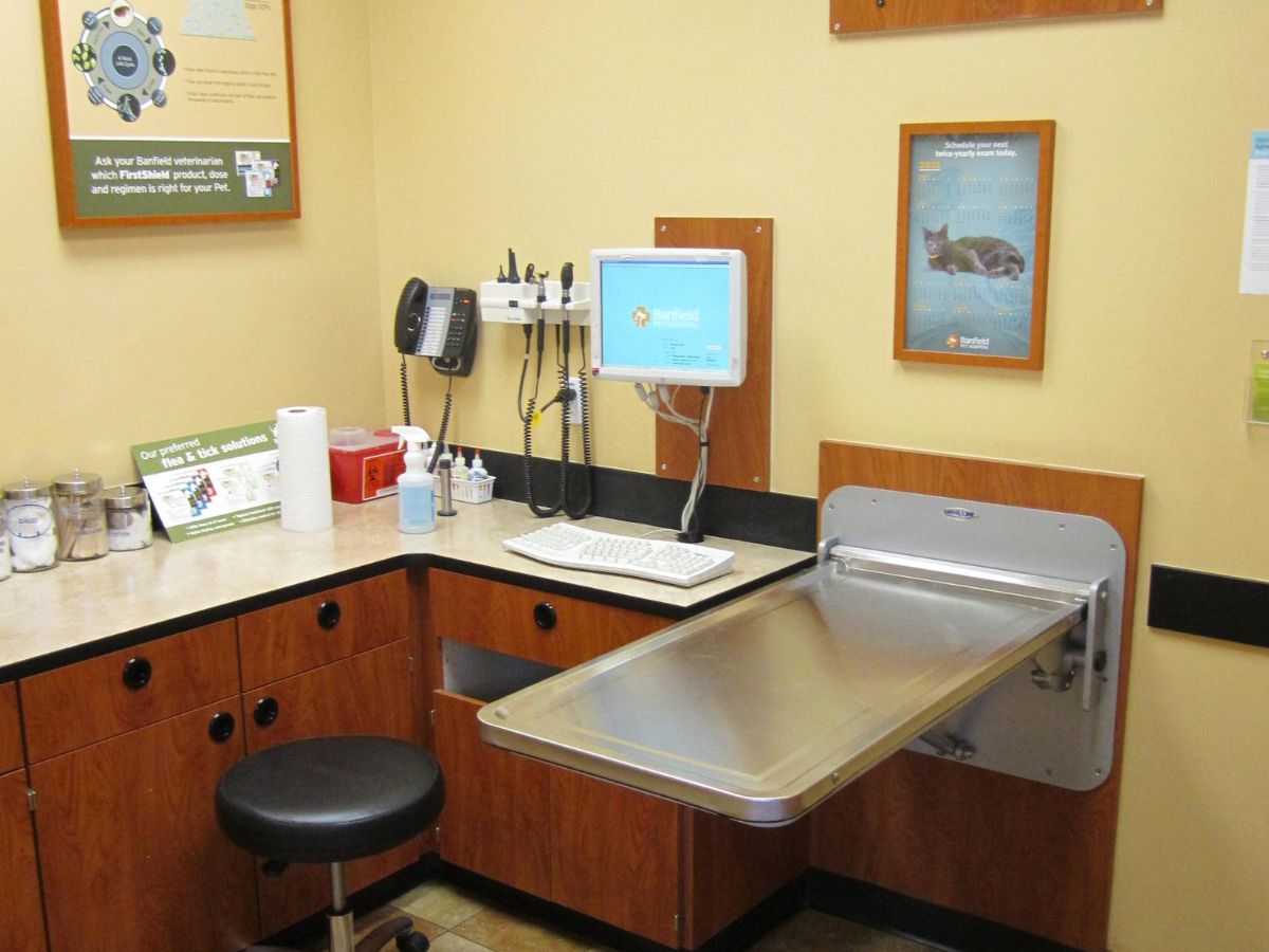 Inside view of the Pembroke Pines Banfield exam room