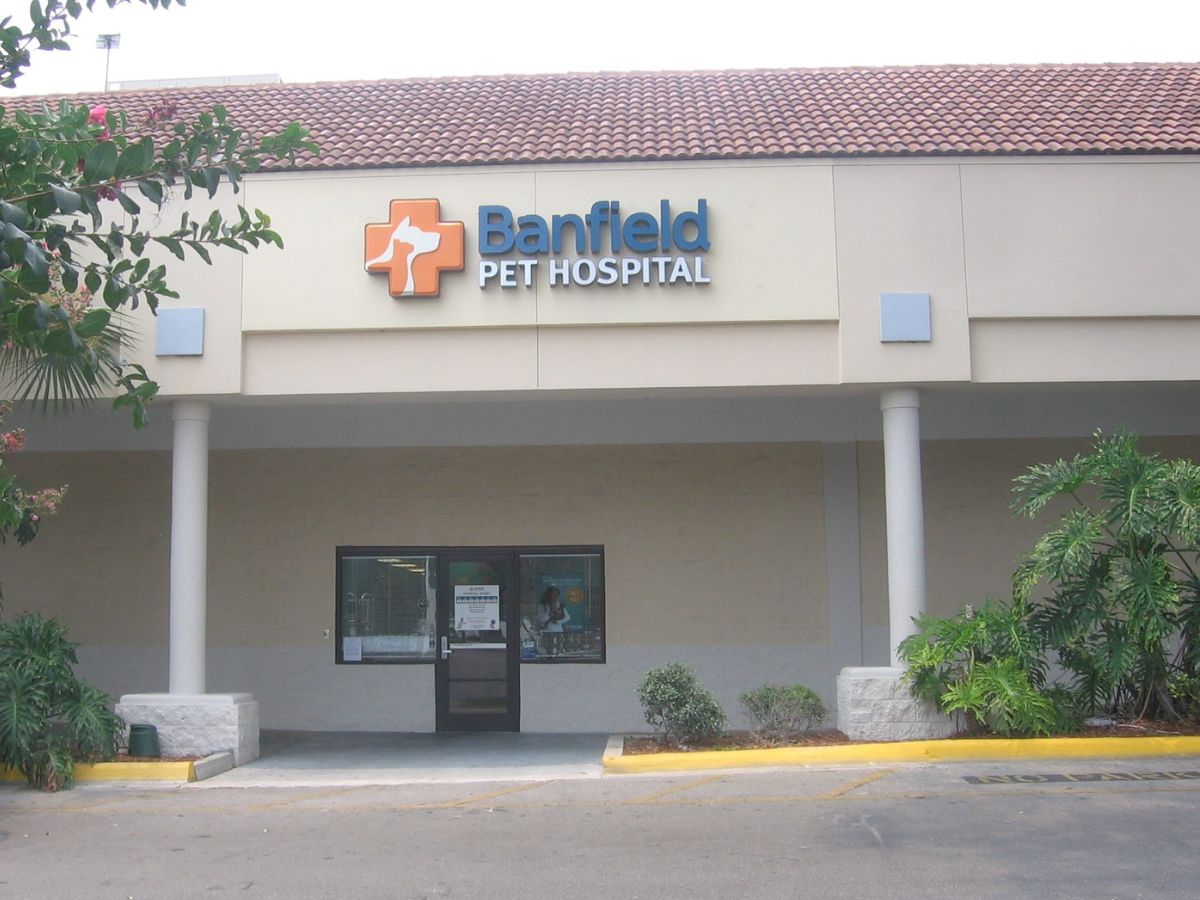 The Banfield Gainesville hospital front door