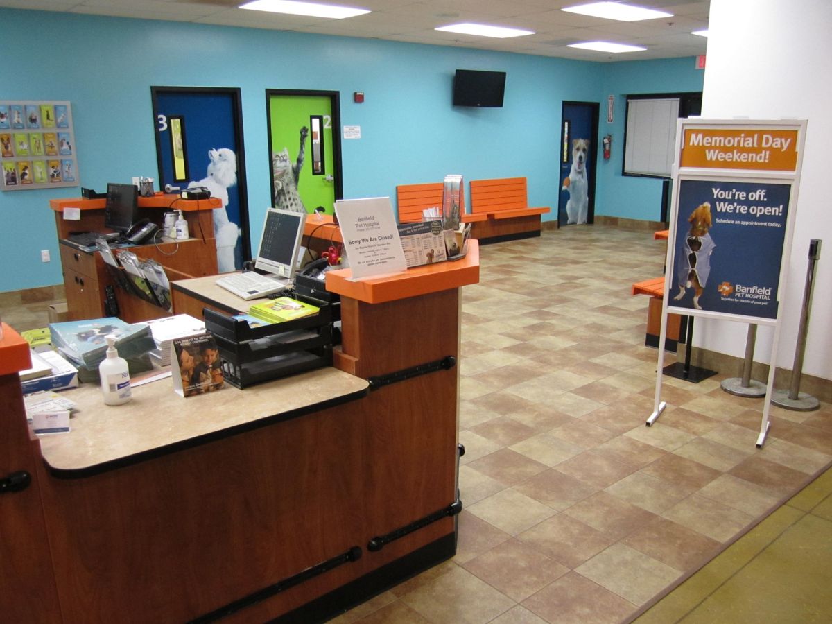 The Banfield Gainesville hospital front desk and waiting area