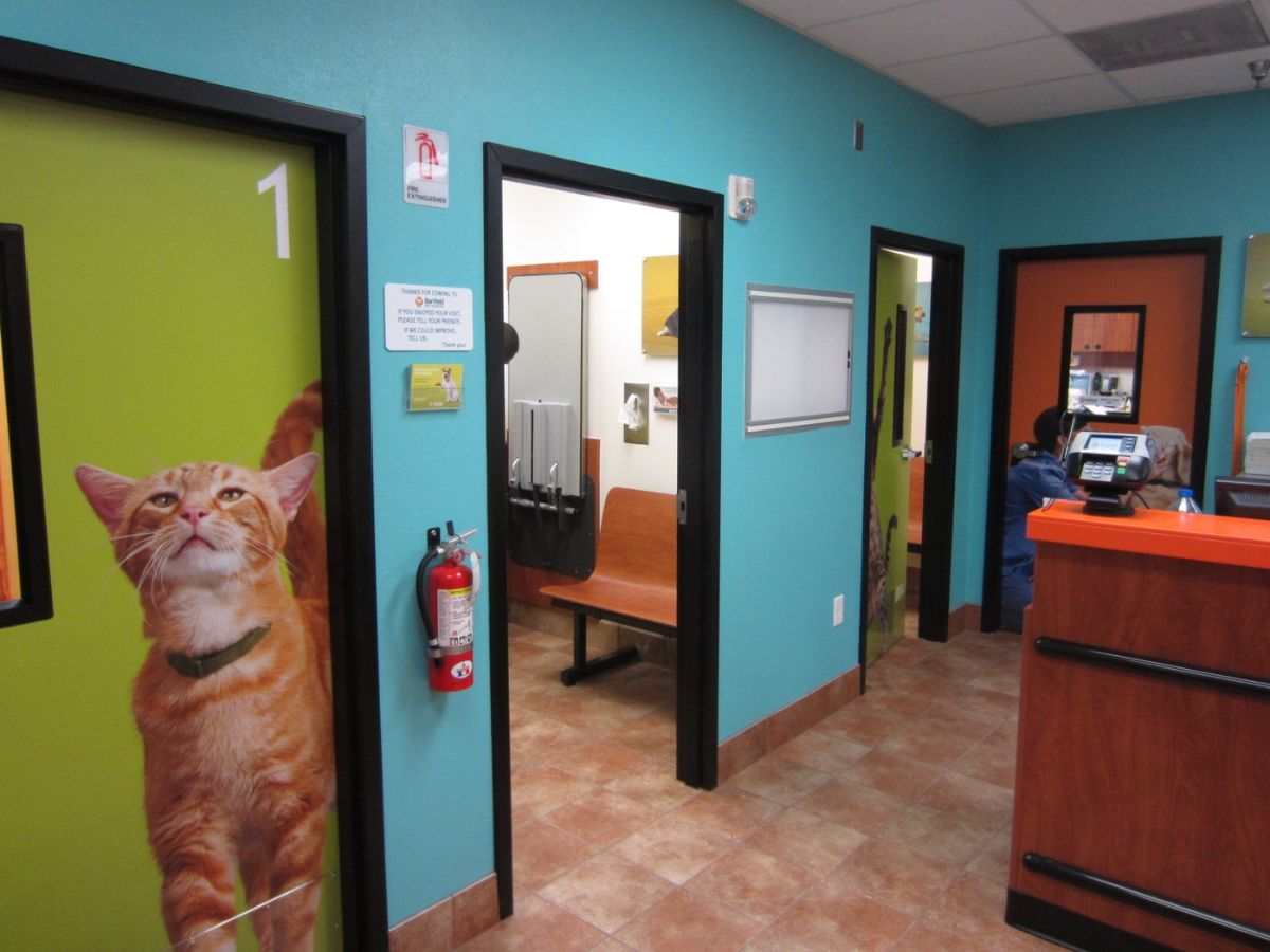 The Banfield Clearwater hospital exam room entrances