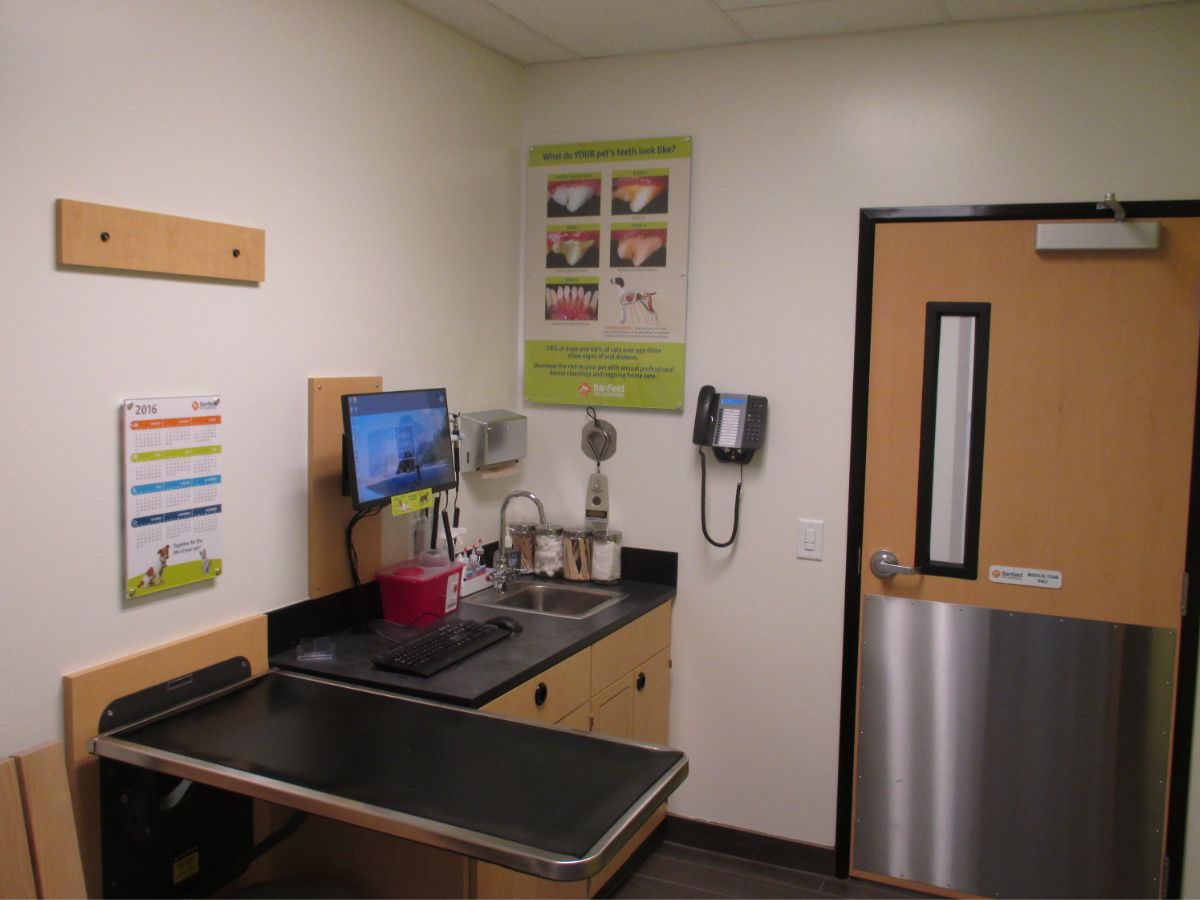 The Banfield Pet Hospital: Duluth Sugarloaf Marketplace exam room with table
