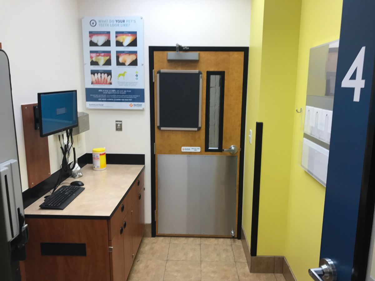 The Banfield Pet Hospital: Roswell exam room