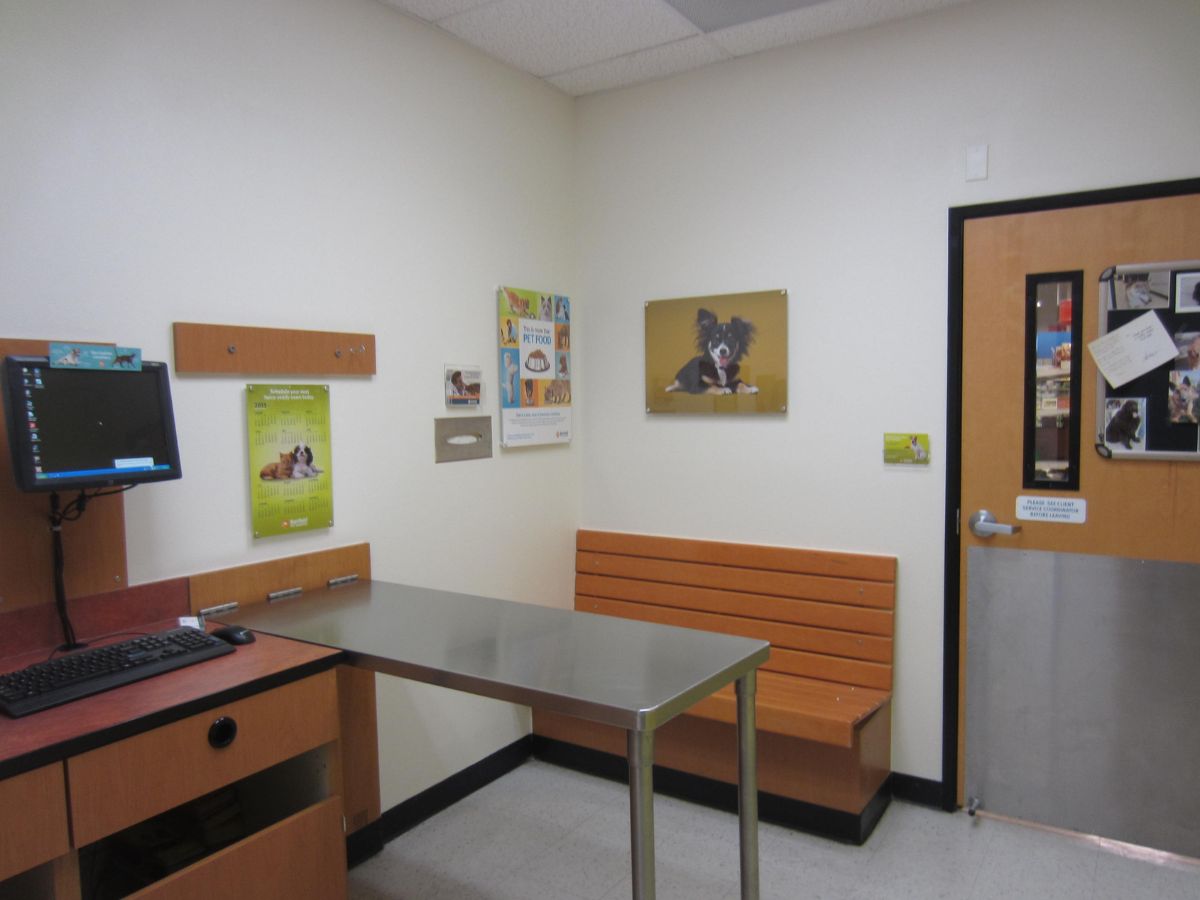 Inside an Apple Valley Banfield exam room with a table