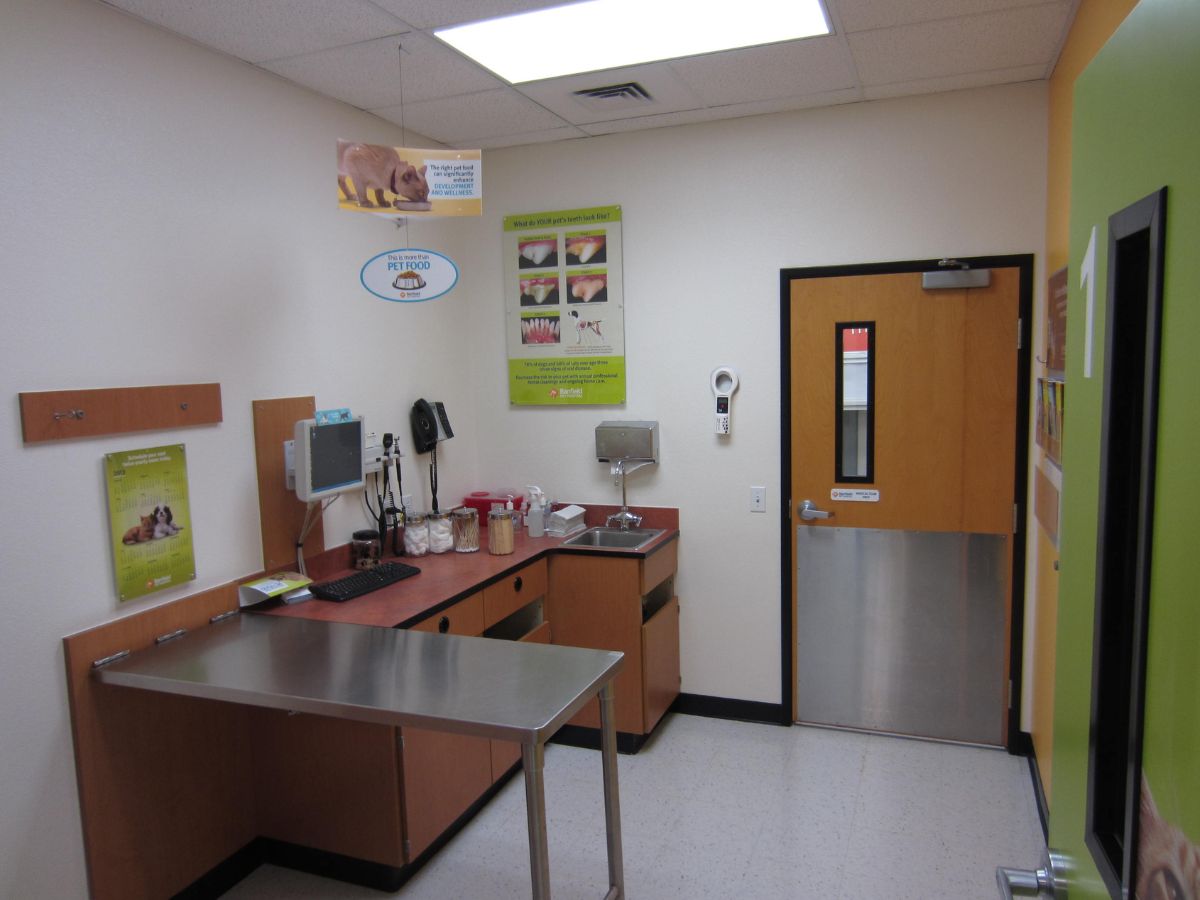 Inside a Banfield Ontario exam room with a table