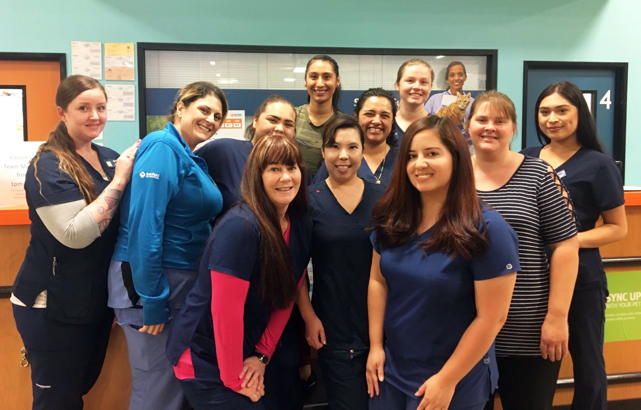 The associate team at the Banfield Ontario hospital