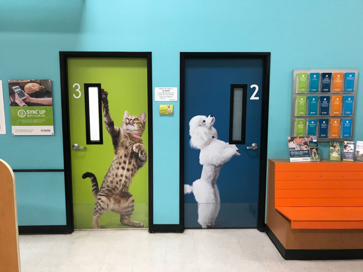 The Banfield Buena Park lobby and exam rooms