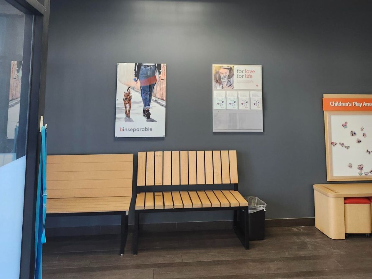 The Banfield Eagle Rock hospital lobby and waiting area