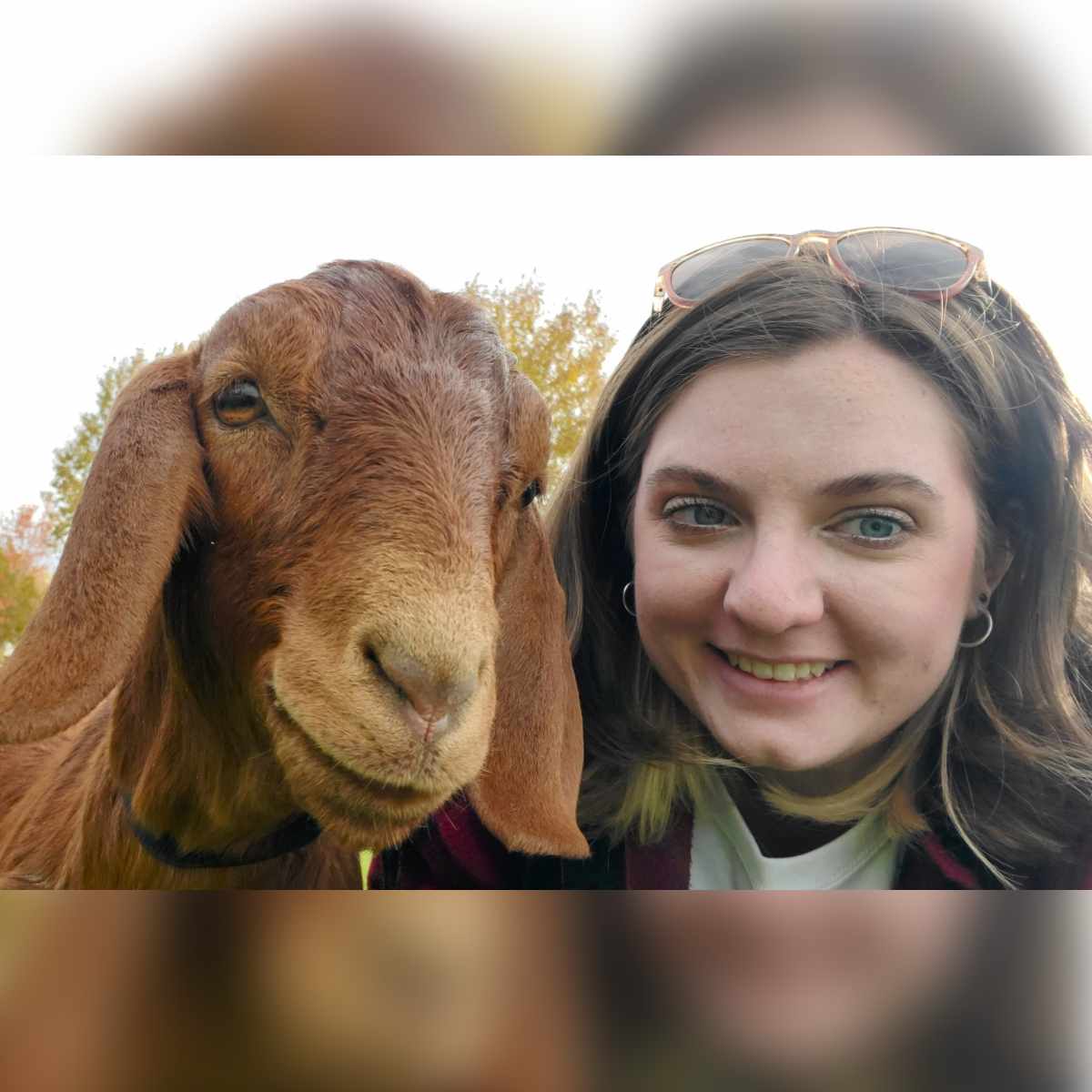 Profile picture of Makenna Husmann, Client Service Coordinator