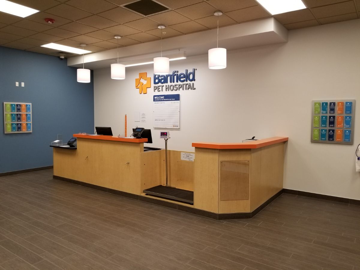 The Banfield Pet Hospital: Sarasota University Park front desk