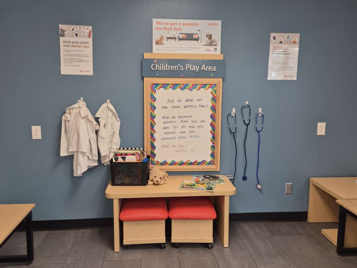 Banfield Pet Hospital - Westlake kid's play area