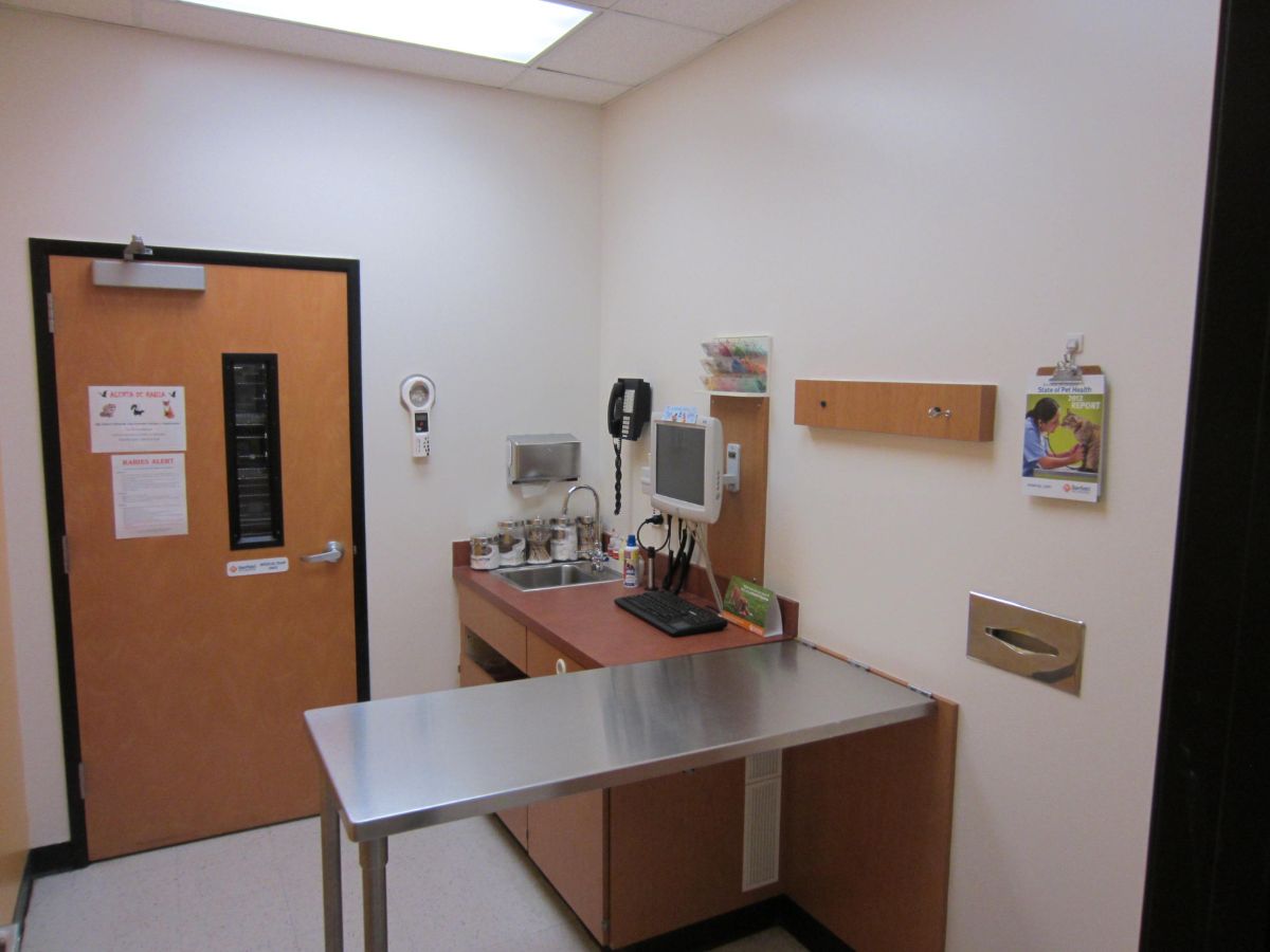 An inside look at a Mooresville Banfield exam room