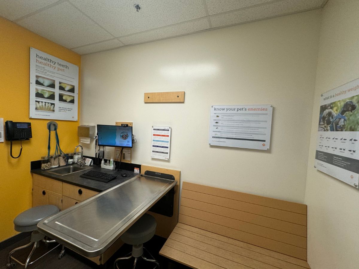 The Banfield Pet Hospital: Summerville S exam room with table