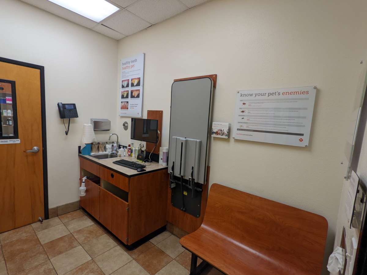 The inside of the East Wilmington Banfield hospital exam room