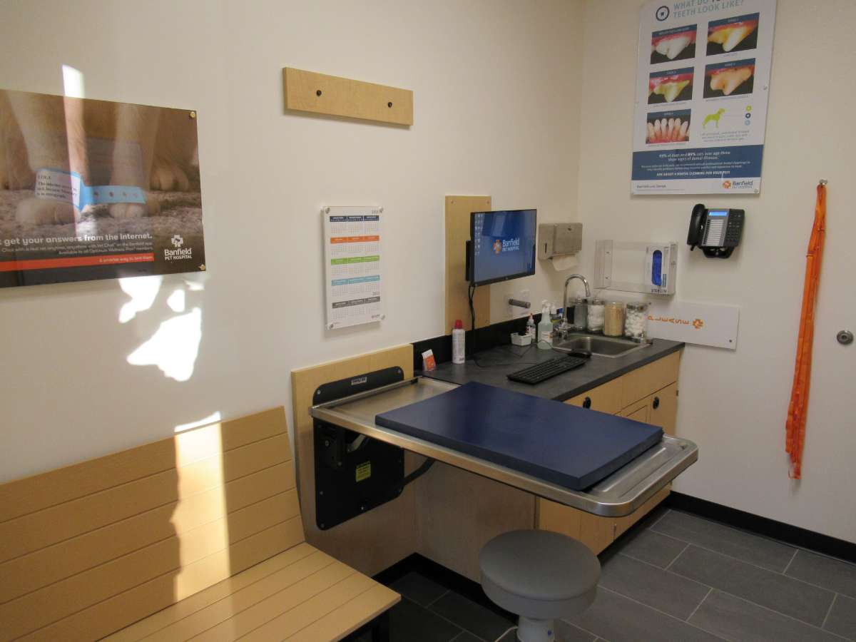 The exam room table inside the East Raleigh Banfield hospital