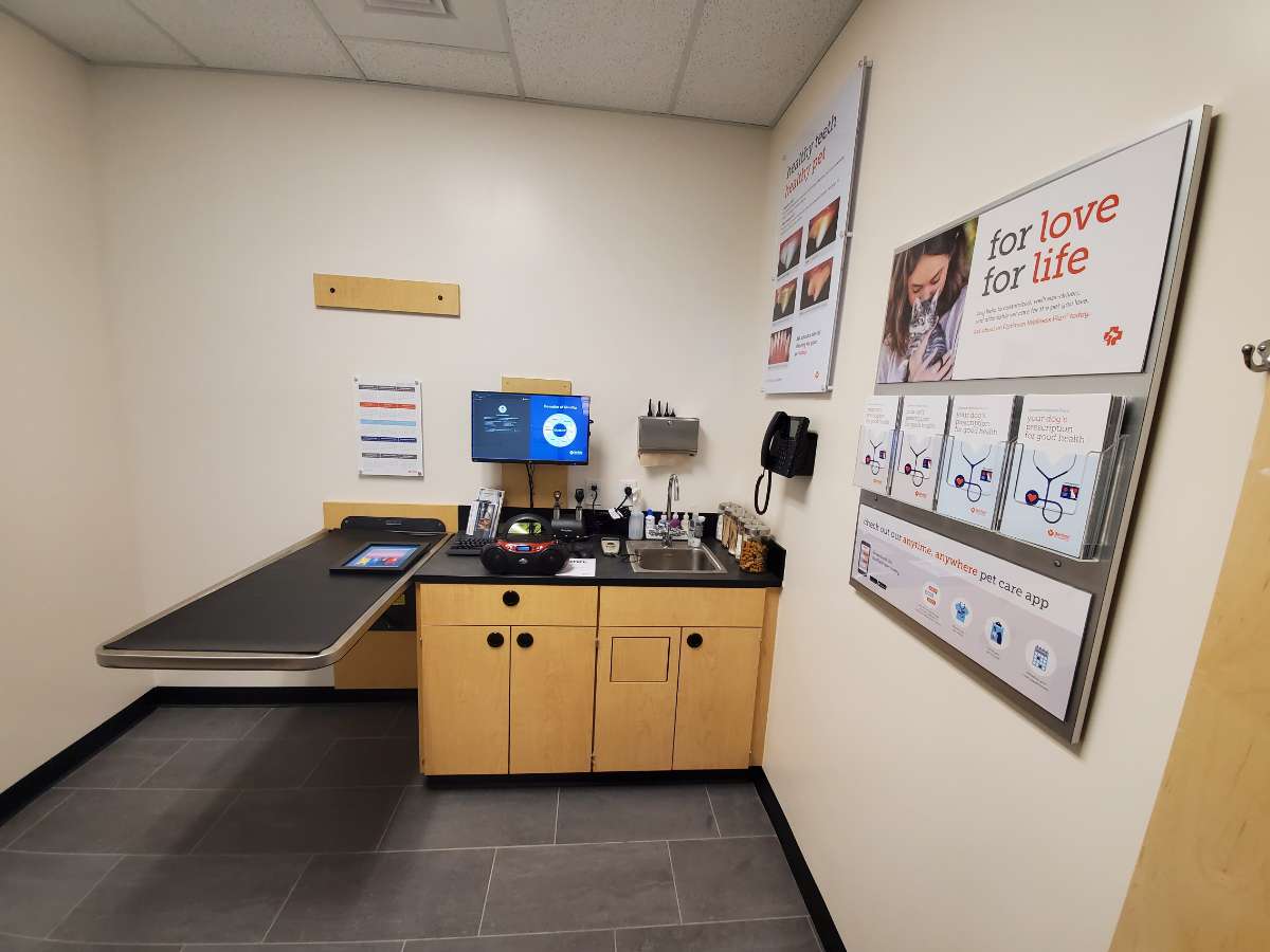 An alternate view of the N Myrtle Beach Banfield exam room