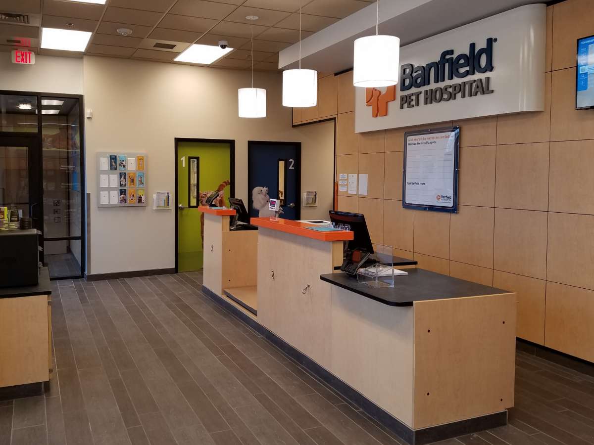 The front lobby inside the Banfield Highland Creek hospital