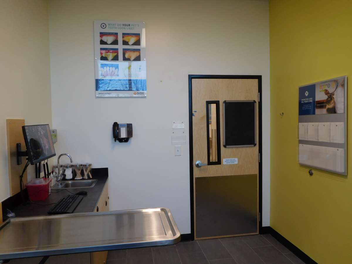The Charlotte Ballantyne Banfield hospital exam room