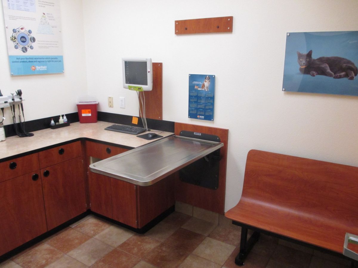 A view of the Chattanooga Banfield exam room