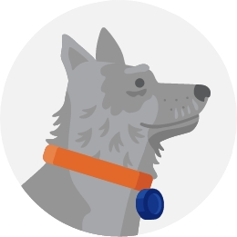 Illustrated icon of an old grey dog