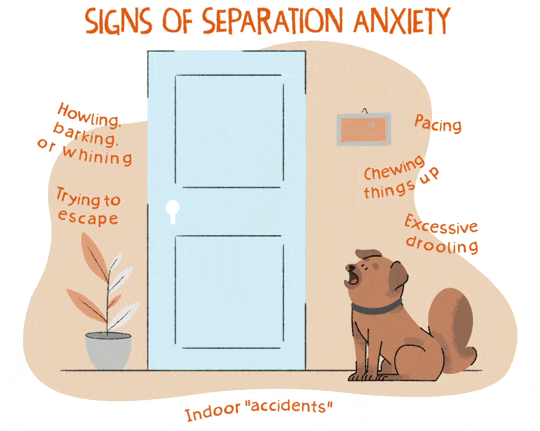 An illustrated gif of a brown puppy howling at a door