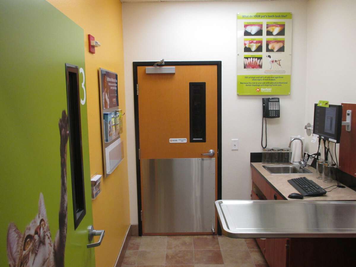 Inside the Columbia Harbison Banfield hospital exam room