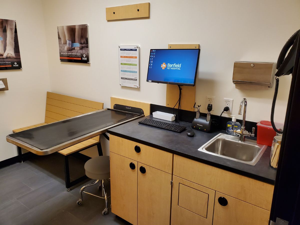 The exam room table at the Banfield Chantilly Greenbrier hospital