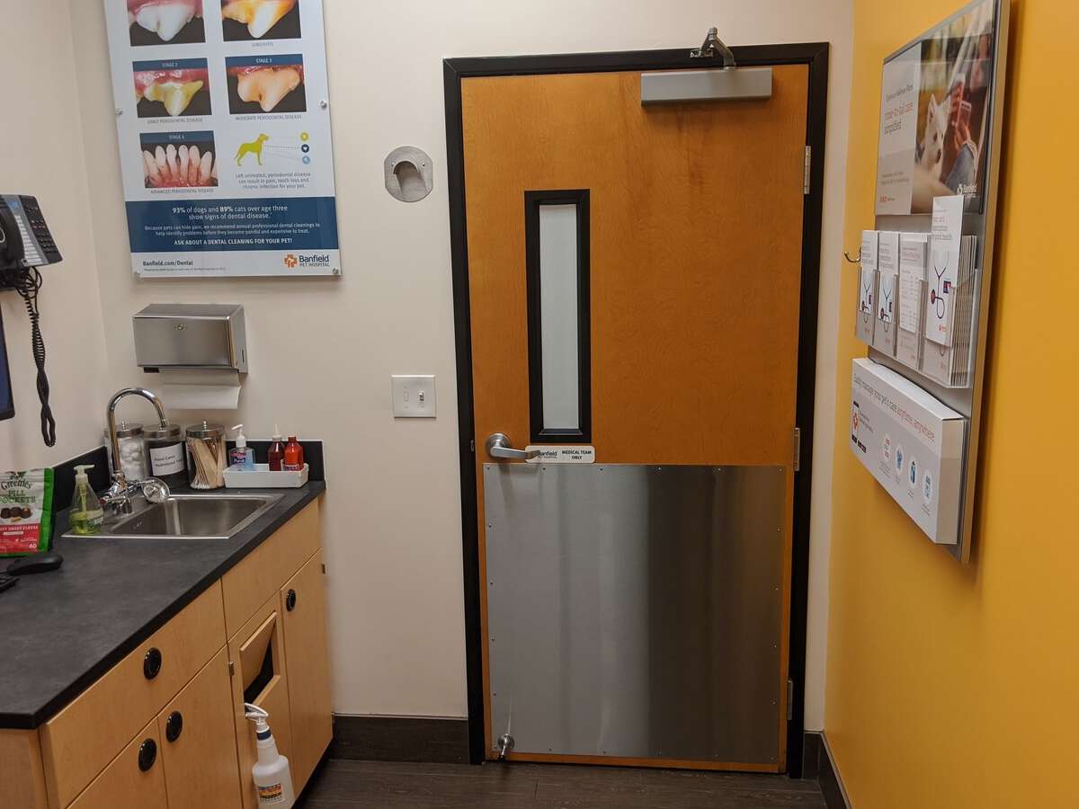 The Roseville N Banfield hospital exam room