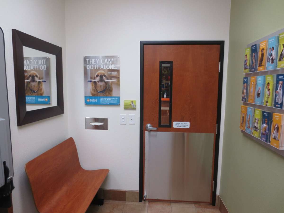 An alternate view of the Citrus Heights Banfield exam room