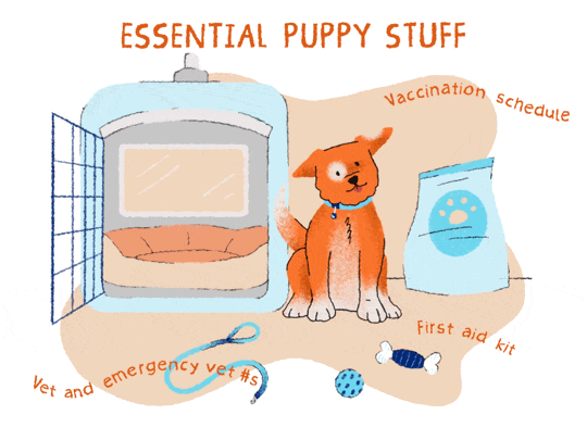 An illustrated gif of an orange puppy surrounded by puppy supplies