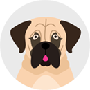 An illustrated icon of a mastiff type dog