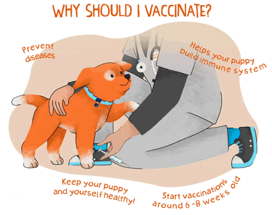 An illustrated gif of an orange puppy next to a Banfield veterinary professional 