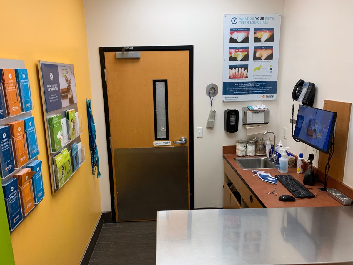 The Banfield - Balcones exam room and table