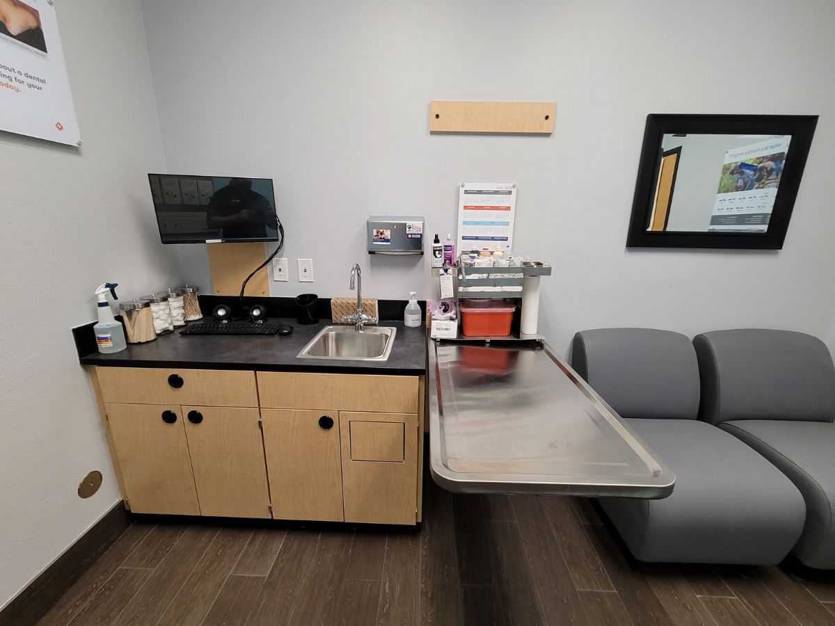 Another view of the Banfield Pet Hospital: Austin-Mueller exam room with folding table