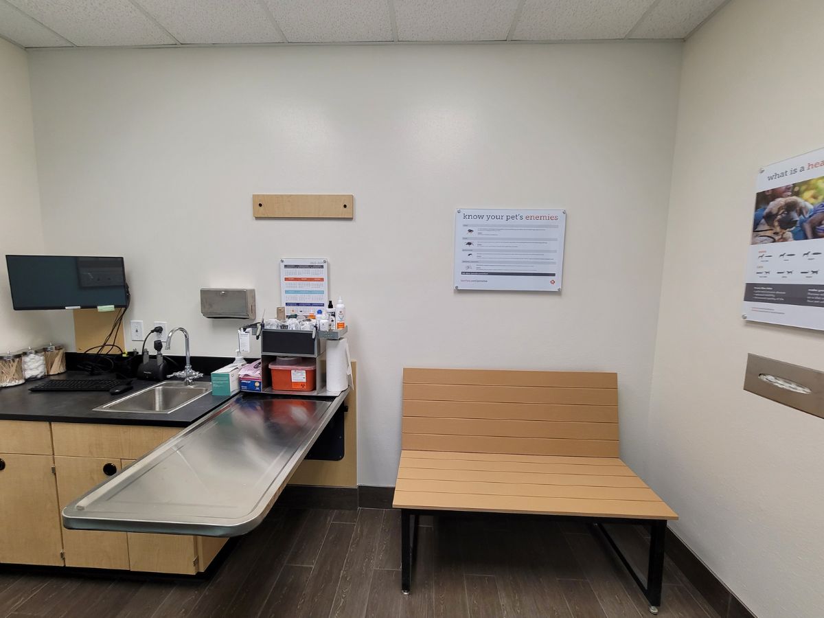 Another alternate view of the Banfield Pet Hospital: Austin-Mueller exam room and exam table