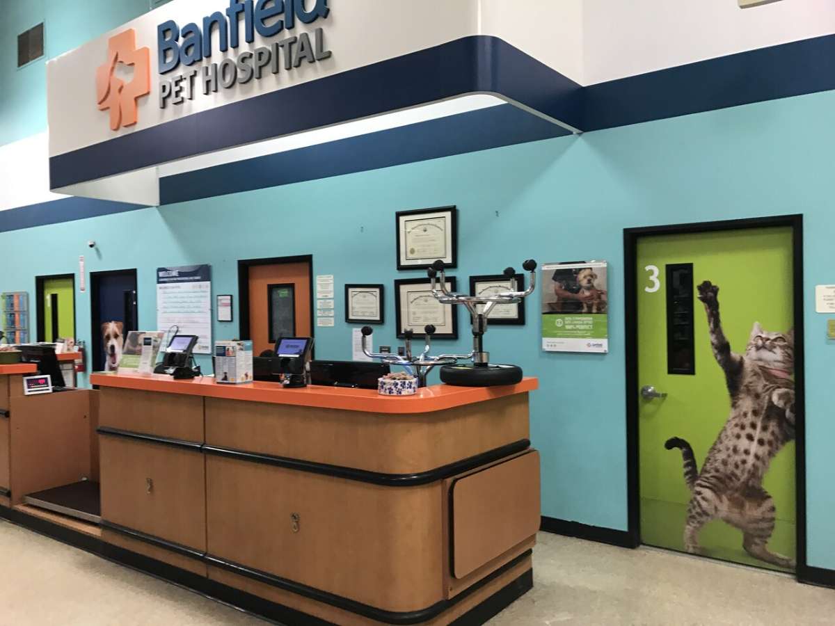 The Austin S Banfield front desk