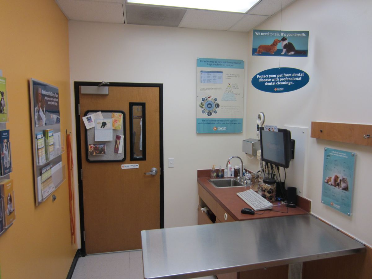 The Banfield Pet Hospital: Desert Ridge exam room with table
