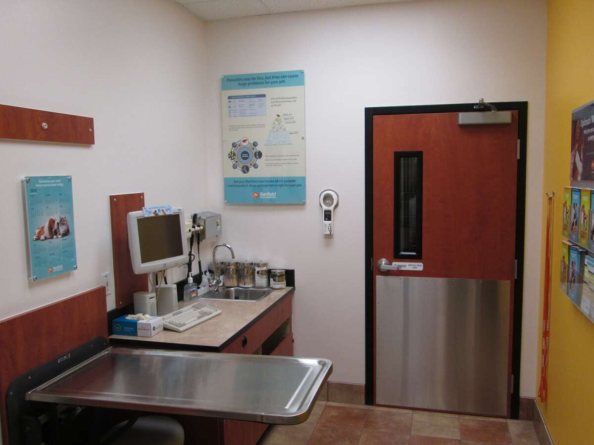The Round Rock Banfield hospital exam room and folding table