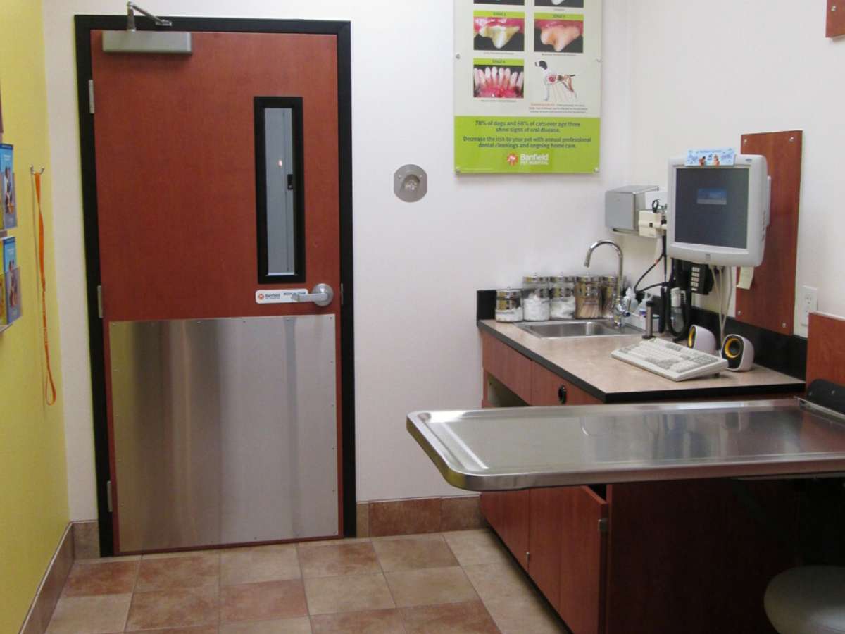 Another view of the Round Rock Banfield hospital exam room