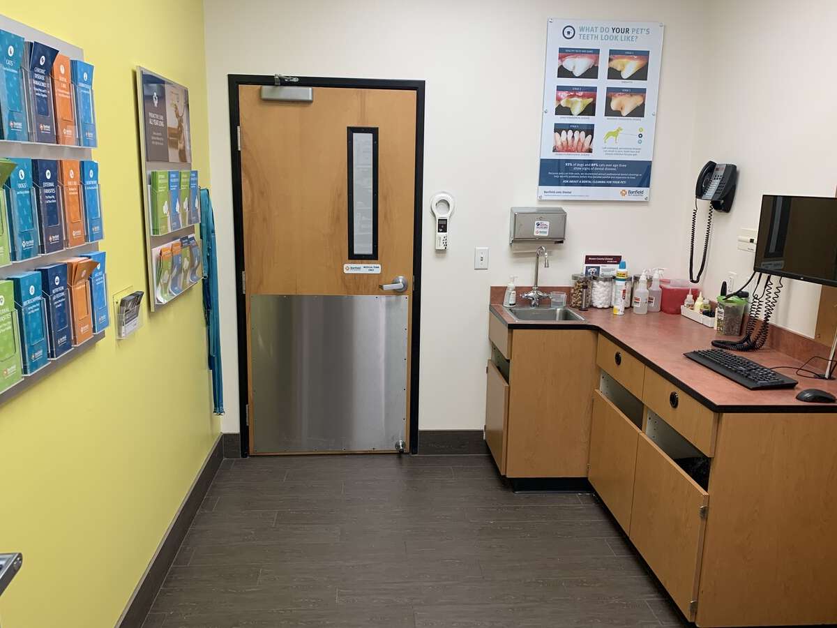 An alternate view of the Banfield - College Station exam room