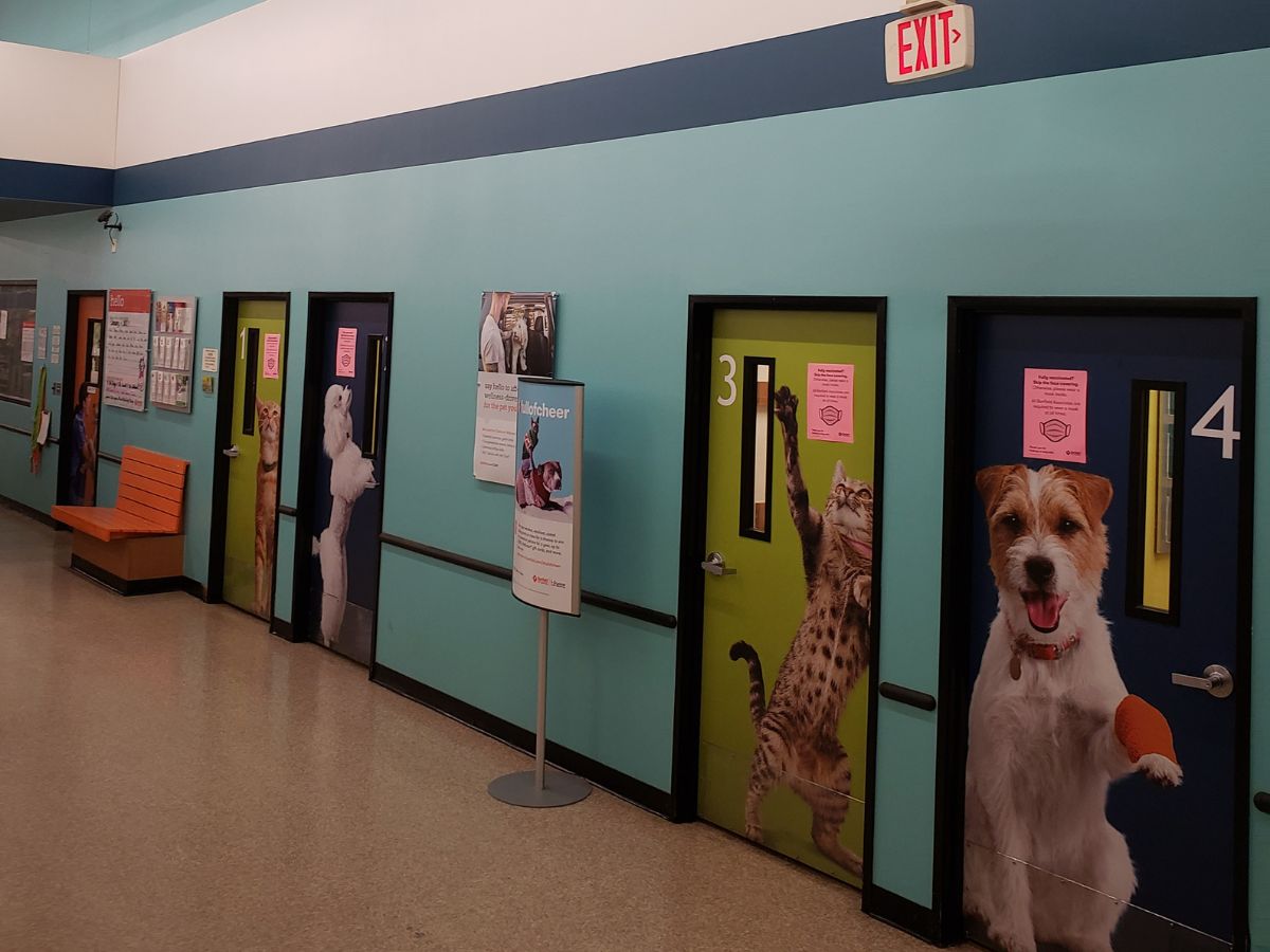 The Banfield Old Town Scottsdale exam rooms