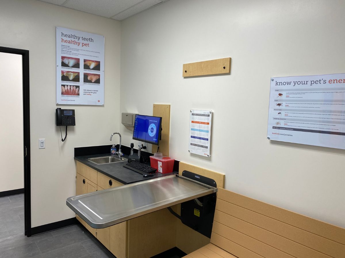 The Banfield Lake Pleasant hospital exam room