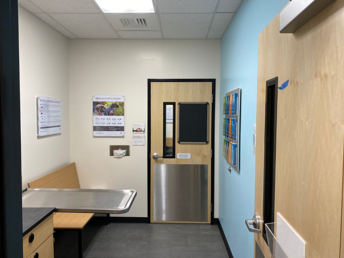 An alternate view of the Banfield Lake Pleasant exam room with table