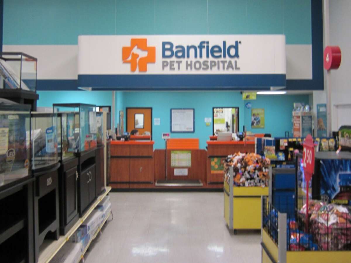 The Glendale PetSmart and Banfield hospital check-in