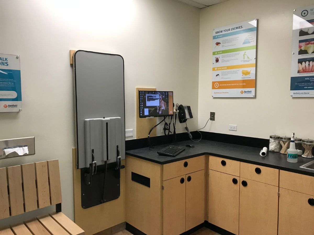 A view inside the Burbank Banfield front desk area