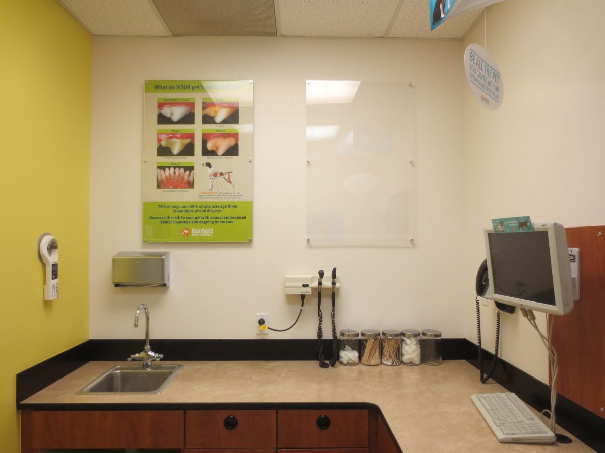 An inside view of the Champaign Banfield exam room