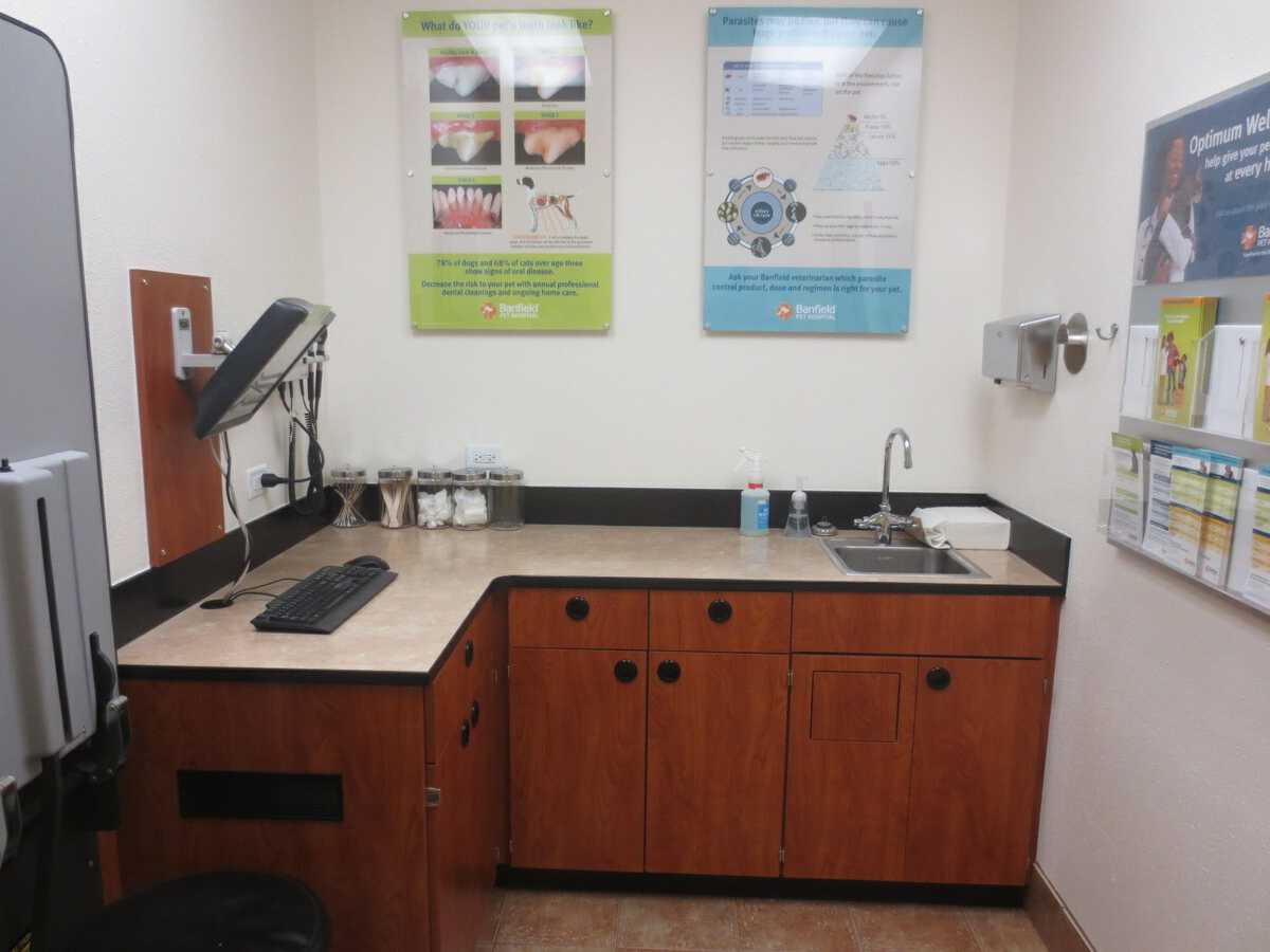 The Banfield - Bloomingdale hospital exam room and table