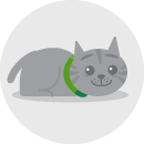 Illustrated icon of a kitten crouching on the ground