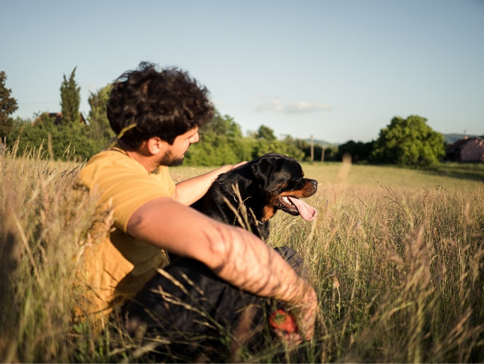 A man sitting in a field with his Beauceron